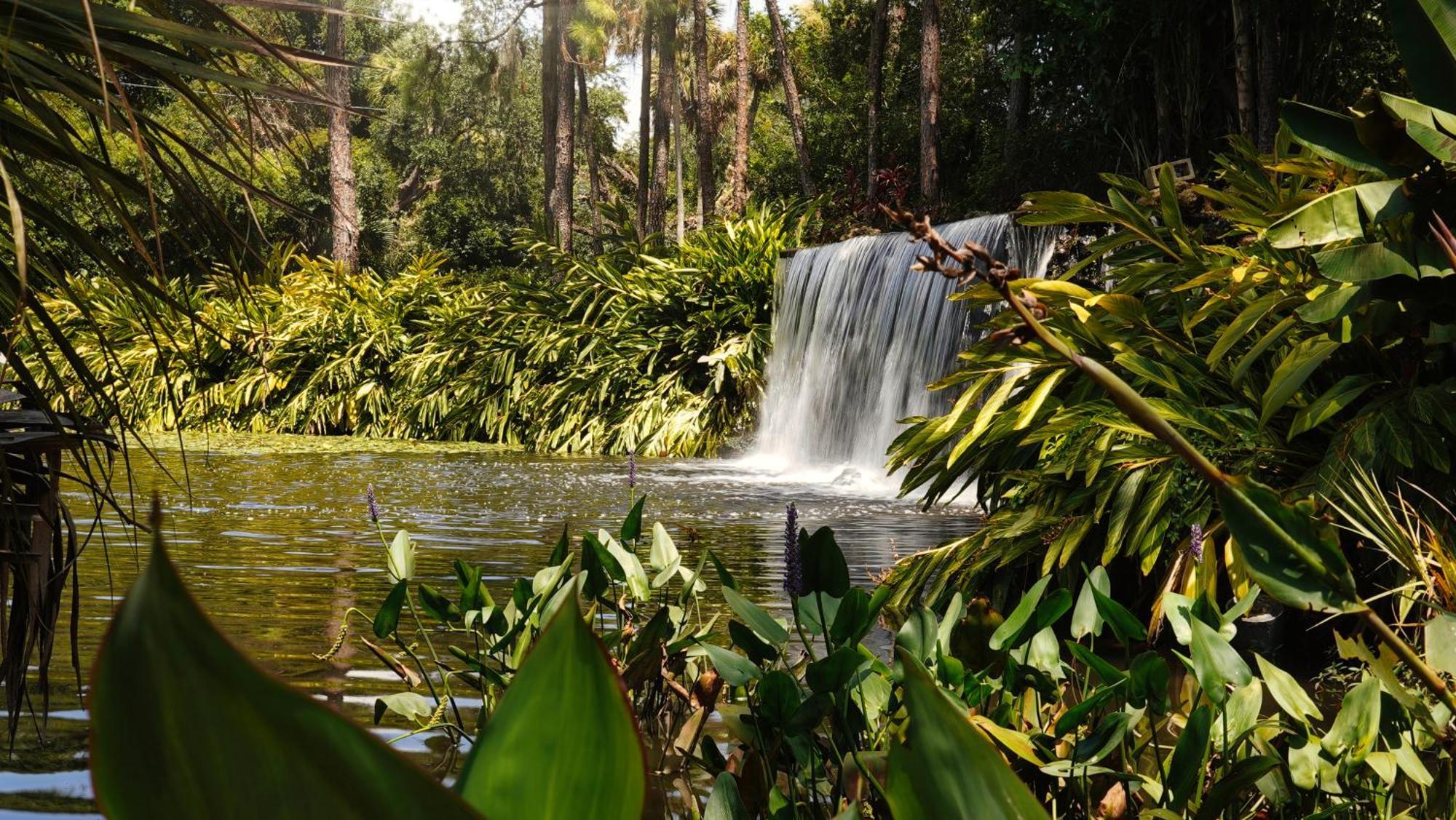 Mission Resort And Club Howey-in-the-Hills Buitenkant foto